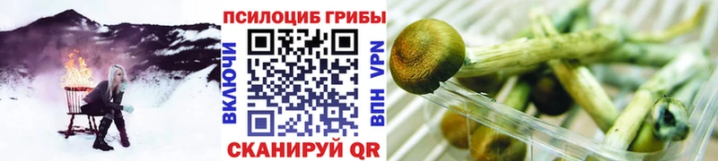 Галлюциногенные грибы Magic Shrooms  купить  сайты  нарко площадка телеграм  Мостовской 